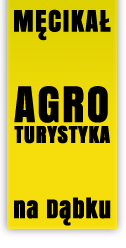 Agroturystyka na Dąbku – Męcikał